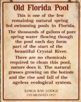 A vintage-style parchment sign titled "Old Florida Pool" at Kings Bay Lodge. The sign explains that the pool is one of the few remaining natural spring-fed swimming pools in Florida, with thousands of gallons of pure spring water flowing through it daily to help form the start of the Crystal River. It notes that no chemicals are required because nature cleans it via natural grasses growing on the bottom and the rise and fall of the ecological system. The bottom reads, "Kings Bay Lodge, Established 1957."