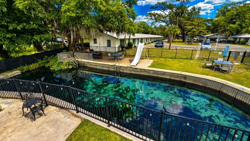 An elevated view of the crystal-clear, natural spring swimming pool and patio area at Kings Bay Lodge, surrounded by lush green trees and guest accommodations.